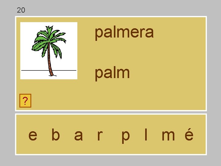 20 palmera palm ? e b a r p l m é 