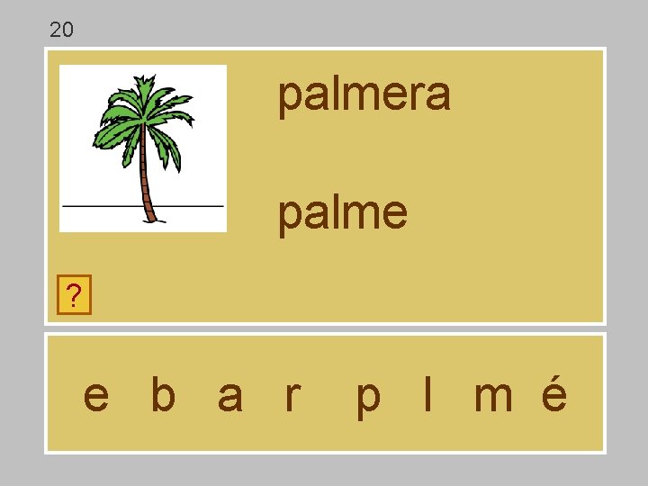 20 palmera palme ? e b a r p l m é 