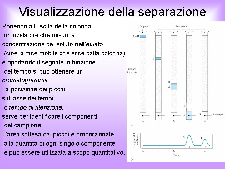 Visualizzazione della separazione Ponendo all’uscita della colonna un rivelatore che misuri la concentrazione del