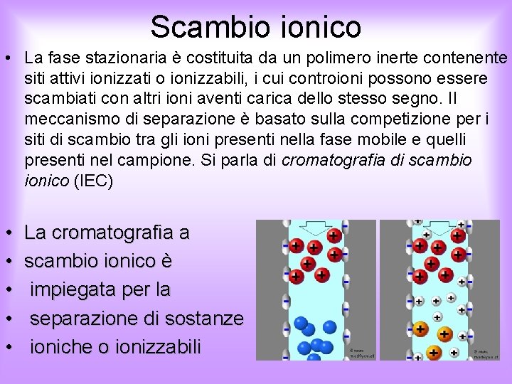 Scambio ionico • La fase stazionaria è costituita da un polimero inerte contenente siti