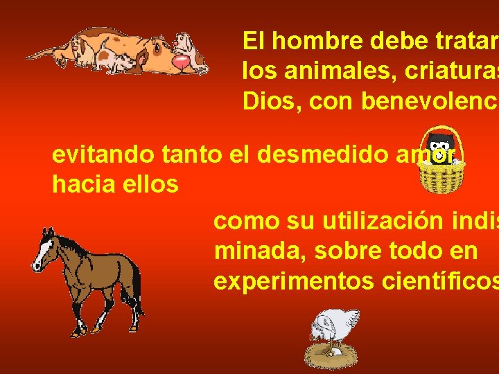 El hombre debe tratar los animales, criaturas Dios, con benevolenci evitando tanto el desmedido