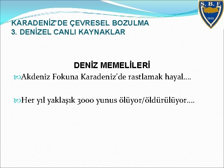 KARADENİZ’DE ÇEVRESEL BOZULMA 3. DENİZEL CANLI KAYNAKLAR DENİZ MEMELİLERİ Akdeniz Fokuna Karadeniz’de rastlamak hayal….