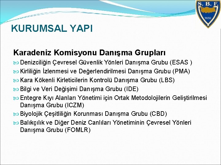 KURUMSAL YAPI Karadeniz Komisyonu Danışma Grupları Denizciliğin Çevresel Güvenlik Yönleri Danışma Grubu (ESAS )