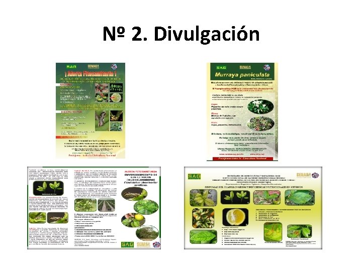 Nº 2. Divulgación Nº 2. Divulgación