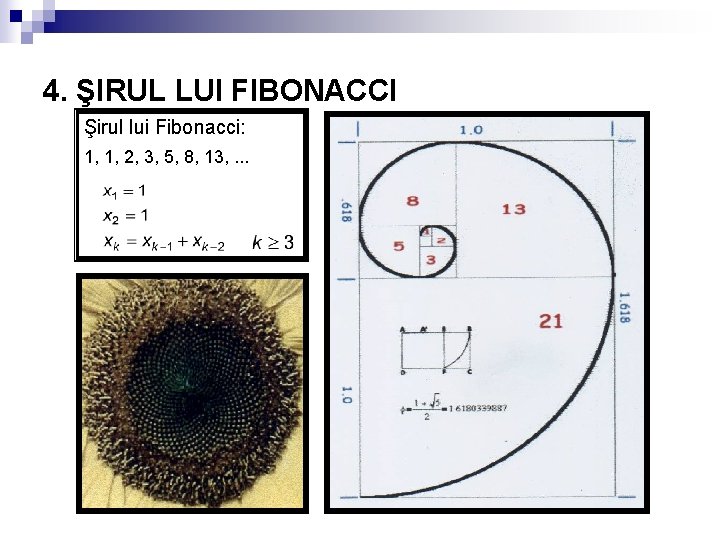 4. ŞIRUL LUI FIBONACCI Şirul lui Fibonacci: 1, 1, 2, 3, 5, 8, 13,