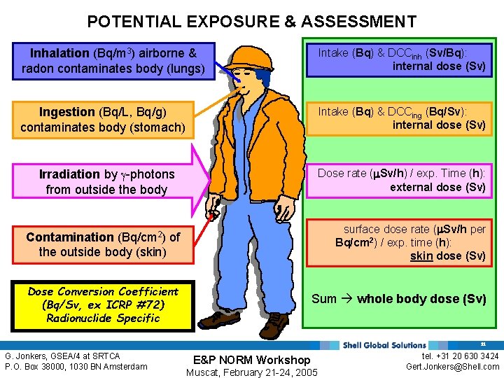 POTENTIAL EXPOSURE & ASSESSMENT Inhalation (Bq/m 3) airborne & radon contaminates body (lungs) Intake