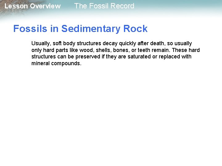 Lesson Overview The Fossil Record Fossils in Sedimentary Rock Usually, soft body structures decay