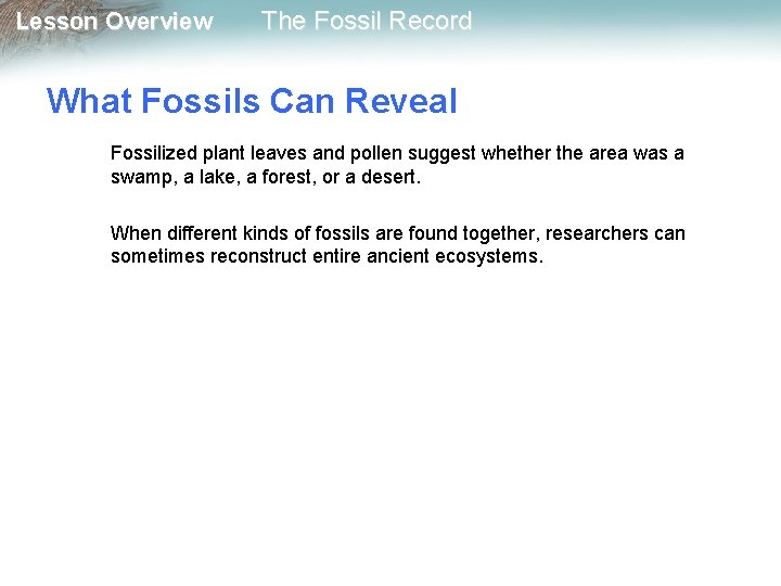 Lesson Overview The Fossil Record What Fossils Can Reveal Fossilized plant leaves and pollen
