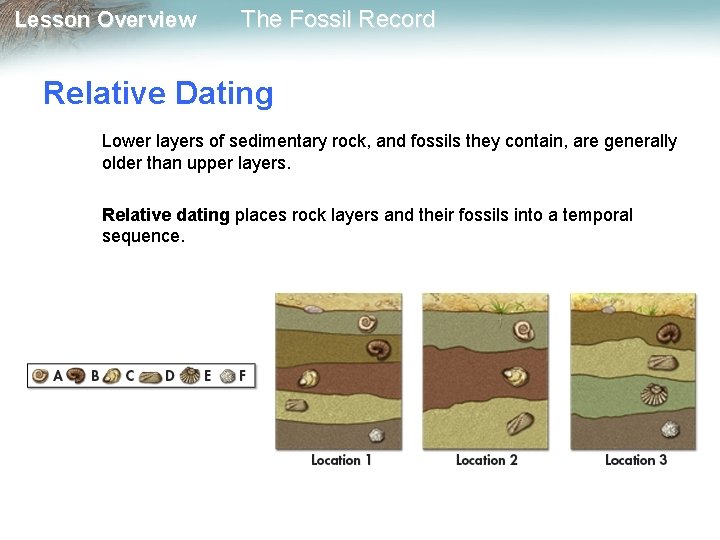 Lesson Overview The Fossil Record Relative Dating Lower layers of sedimentary rock, and fossils