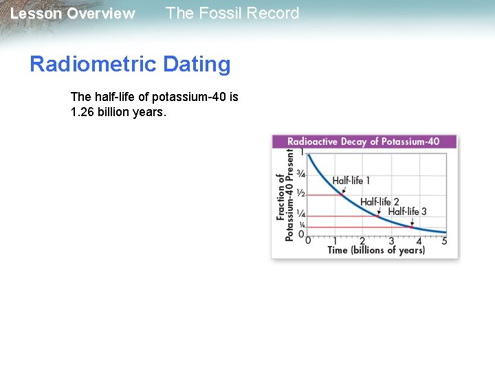 Lesson Overview The Fossil Record Radiometric Dating The half-life of potassium-40 is 1. 26