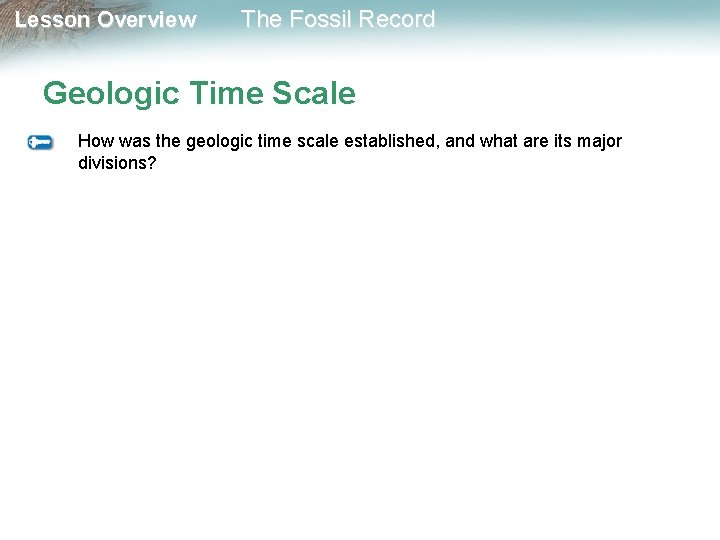 Lesson Overview The Fossil Record Geologic Time Scale How was the geologic time scale