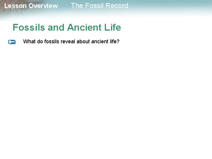 Lesson Overview The Fossil Record Fossils and Ancient Life What do fossils reveal about