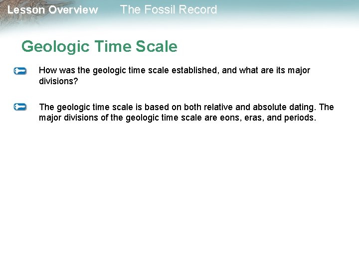 Lesson Overview The Fossil Record Geologic Time Scale How was the geologic time scale