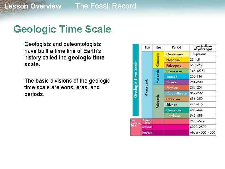 Lesson Overview The Fossil Record Geologic Time Scale Geologists and paleontologists have built a
