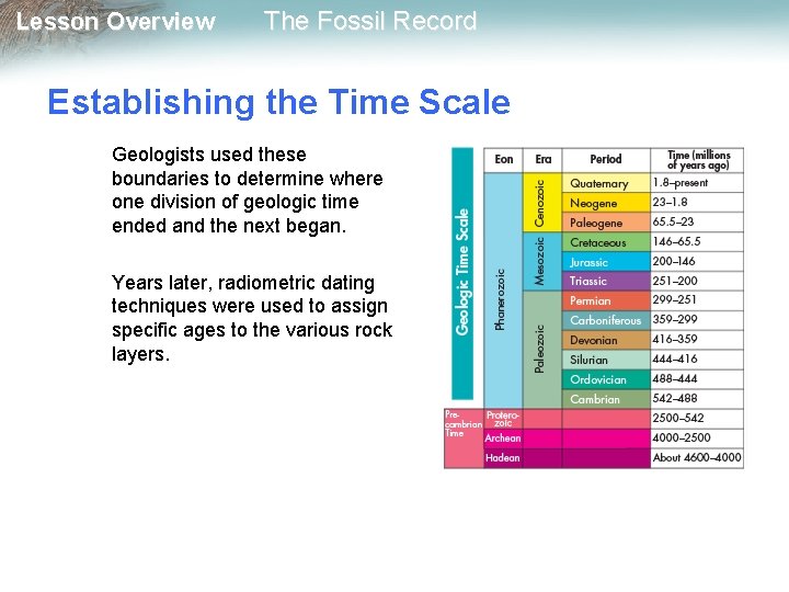 Lesson Overview The Fossil Record Establishing the Time Scale Geologists used these boundaries to