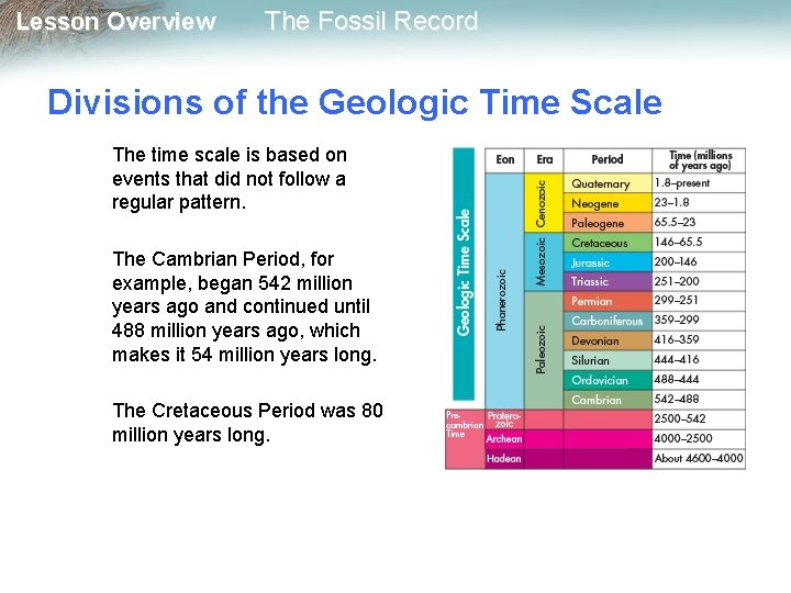 Lesson Overview The Fossil Record Divisions of the Geologic Time Scale The time scale