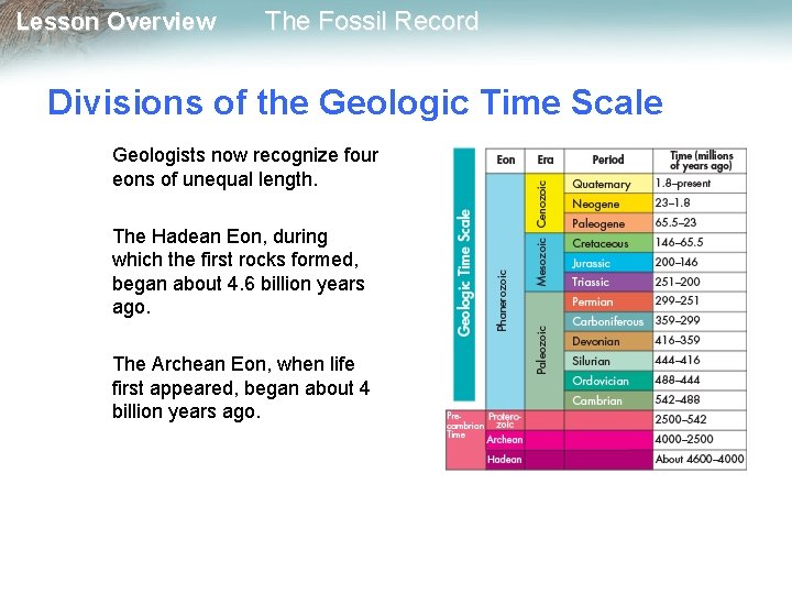 Lesson Overview The Fossil Record Divisions of the Geologic Time Scale Geologists now recognize