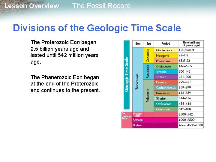Lesson Overview The Fossil Record Divisions of the Geologic Time Scale The Proterozoic Eon
