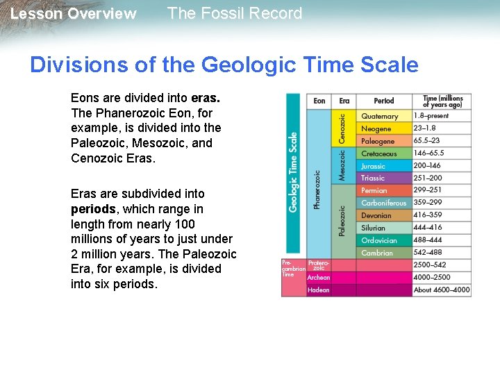 Lesson Overview The Fossil Record Divisions of the Geologic Time Scale Eons are divided