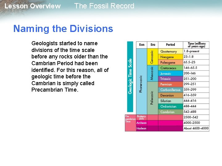 Lesson Overview The Fossil Record Naming the Divisions Geologists started to name divisions of