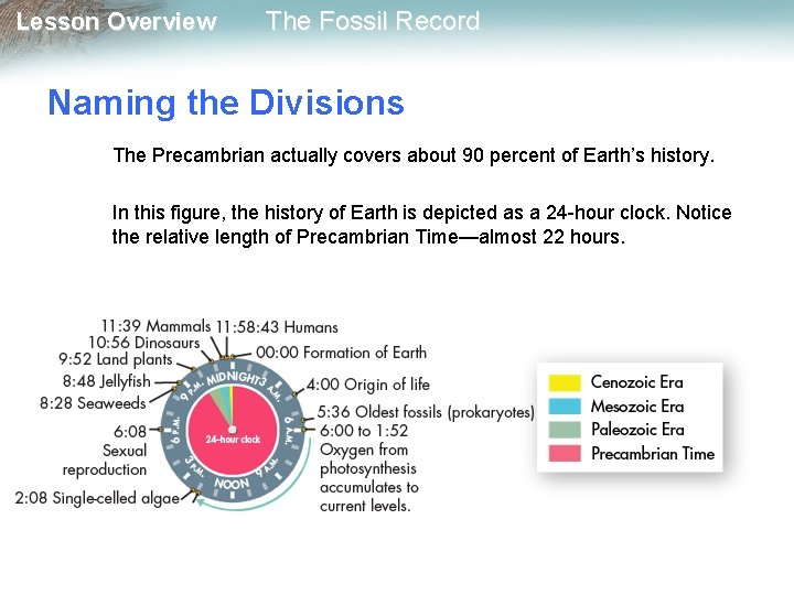 Lesson Overview The Fossil Record Naming the Divisions The Precambrian actually covers about 90