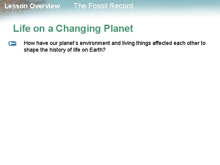 Lesson Overview The Fossil Record Life on a Changing Planet How have our planet’s