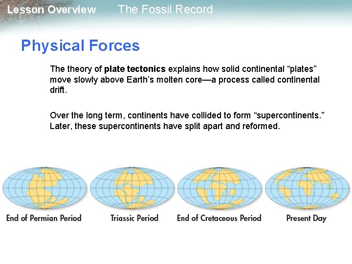 Lesson Overview The Fossil Record Physical Forces The theory of plate tectonics explains how