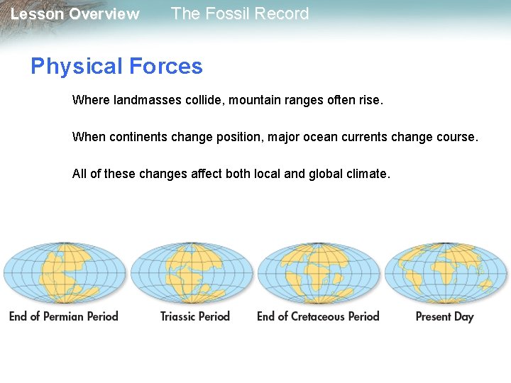 Lesson Overview The Fossil Record Physical Forces Where landmasses collide, mountain ranges often rise.