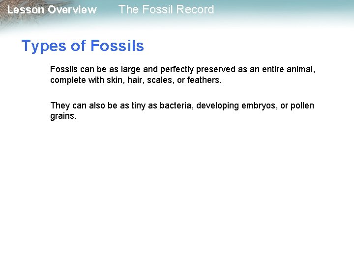 Lesson Overview The Fossil Record Types of Fossils can be as large and perfectly