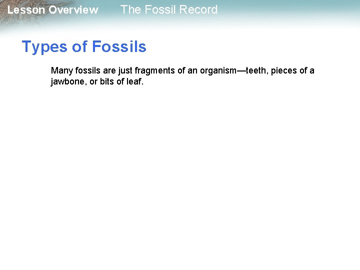Lesson Overview The Fossil Record Types of Fossils Many fossils are just fragments of