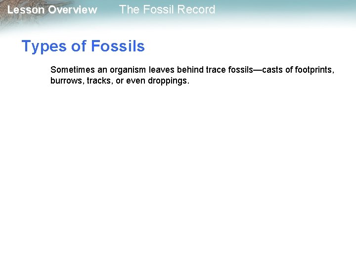 Lesson Overview The Fossil Record Types of Fossils Sometimes an organism leaves behind trace