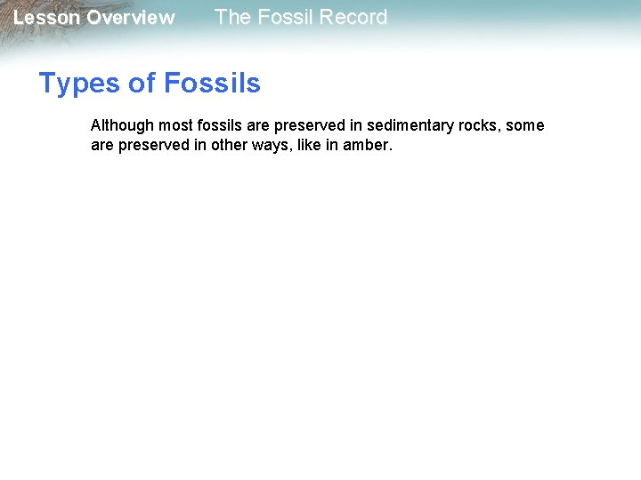 Lesson Overview The Fossil Record Types of Fossils Although most fossils are preserved in