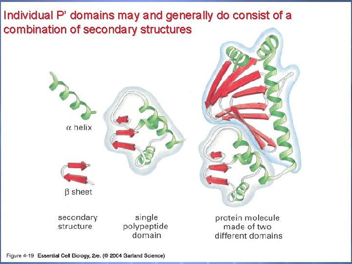 04_19_functiondomains. jp g Individual P’ domains may and generally do consist of a combination