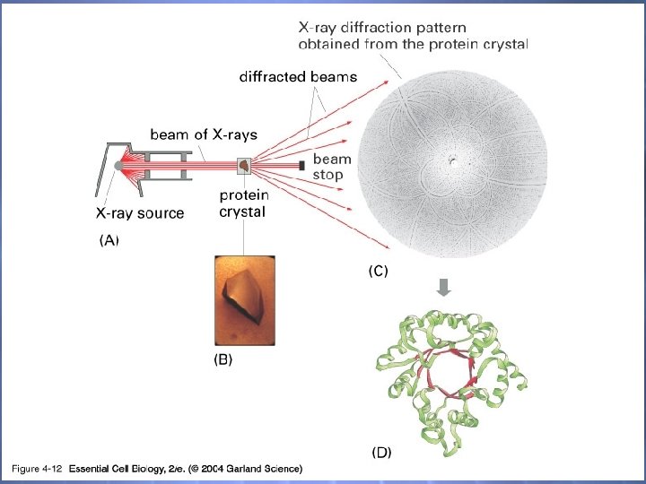 04_12_crystallography. jpg 