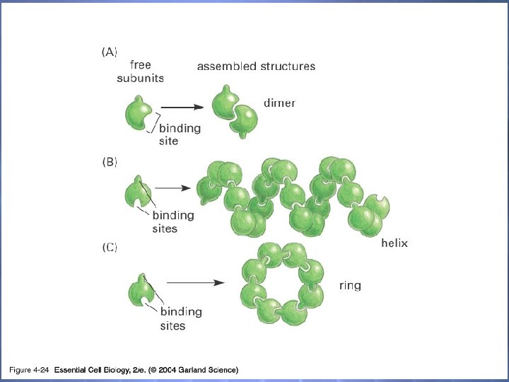 04_24_complexstructure. j pg 