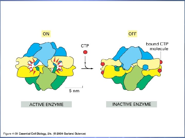 04_39_conform. change. jp g 