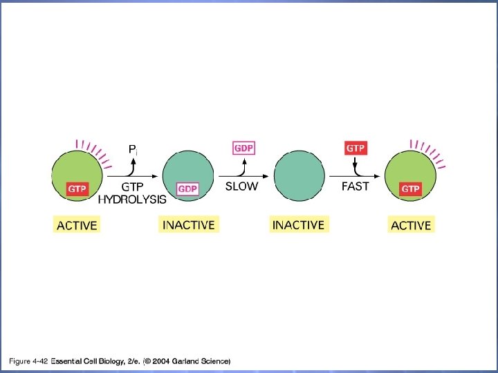 04_42_molec. switches. jpg 