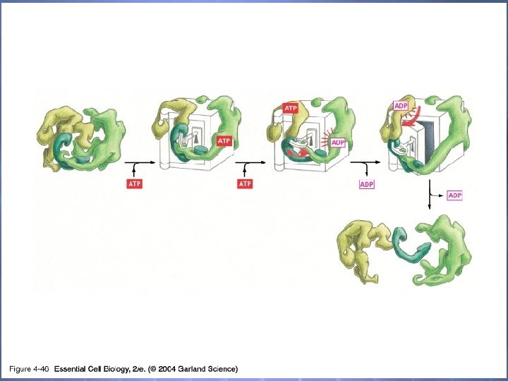 04_46_Protein machine. jpg 