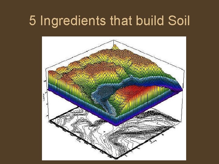 5 Ingredients that build Soil 