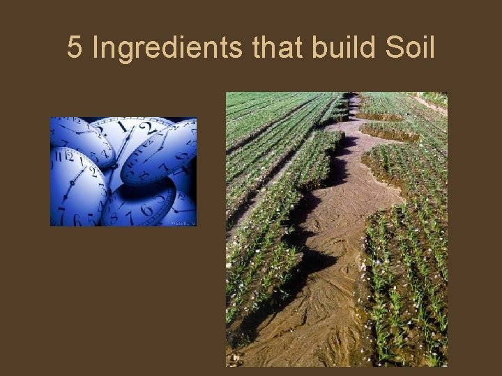 5 Ingredients that build Soil 