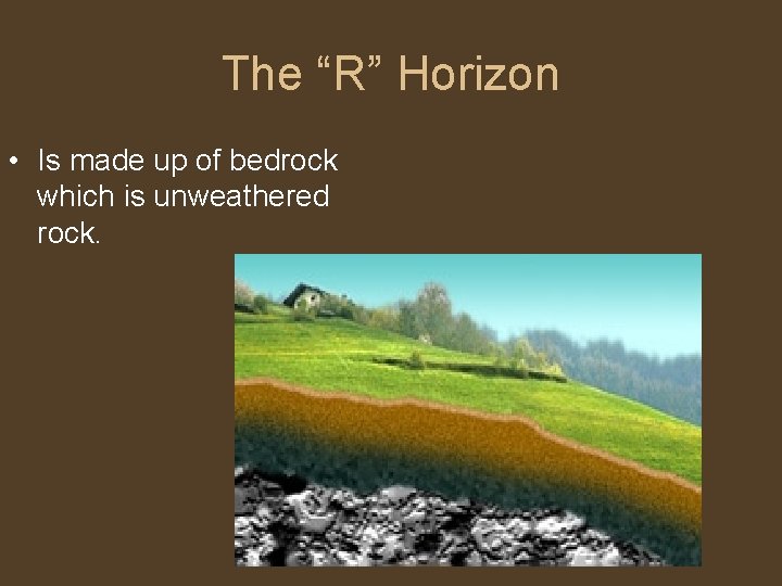 The “R” Horizon • Is made up of bedrock which is unweathered rock. 