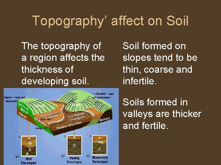 Topography’ affect on Soil The topography of a region affects the thickness of developing