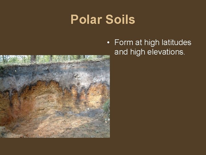 Polar Soils • Form at high latitudes and high elevations. 