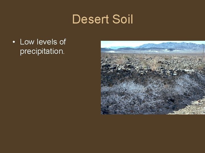 Desert Soil • Low levels of precipitation. 