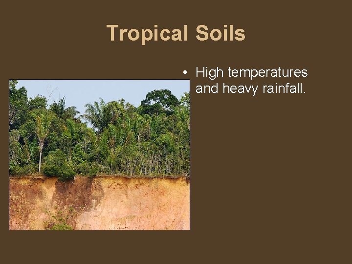 Tropical Soils • High temperatures and heavy rainfall. 