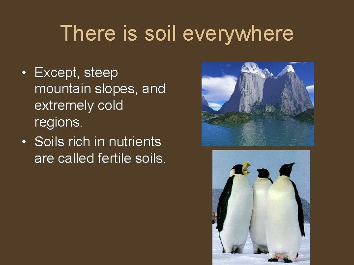 There is soil everywhere • Except, steep mountain slopes, and extremely cold regions. •