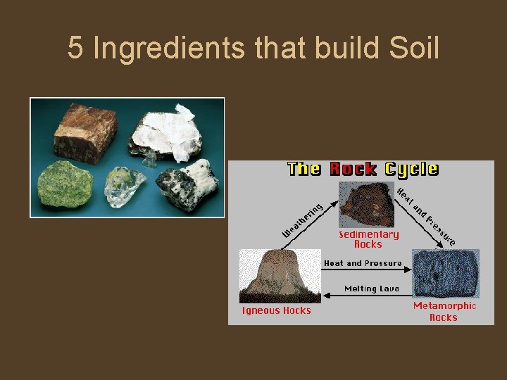 5 Ingredients that build Soil 