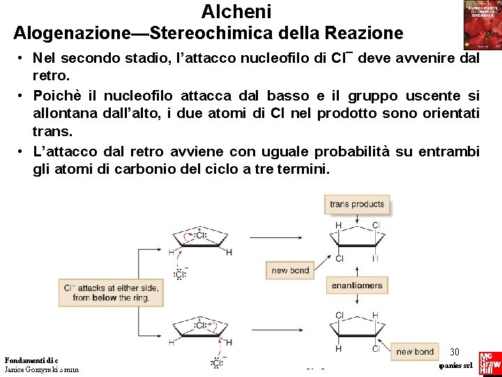 Alcheni Alogenazione—Stereochimica della Reazione • Nel secondo stadio, l’attacco nucleofilo di Cl¯ deve avvenire