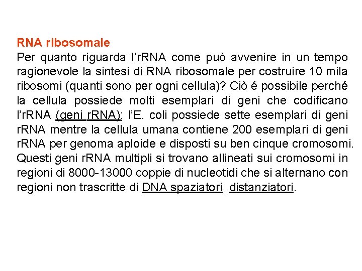 RNA ribosomale Per quanto riguarda l’r. RNA come può avvenire in un tempo ragionevole RNA ribosomale Per quanto riguarda l’r. RNA come può avvenire in un tempo ragionevole