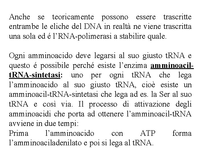Anche se teoricamente possono essere trascritte entrambe le eliche del DNA in realtà ne Anche se teoricamente possono essere trascritte entrambe le eliche del DNA in realtà ne